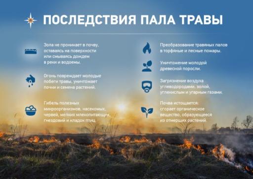 Последствия пала травы
