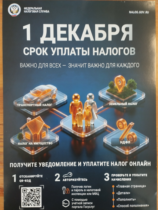 1 декабря! Срок уплаты налогов!